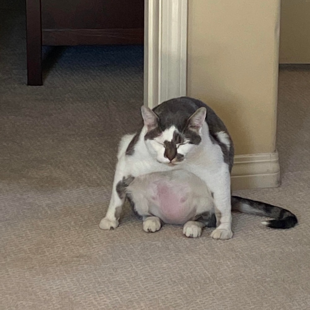 Meet your Posher, Chloe